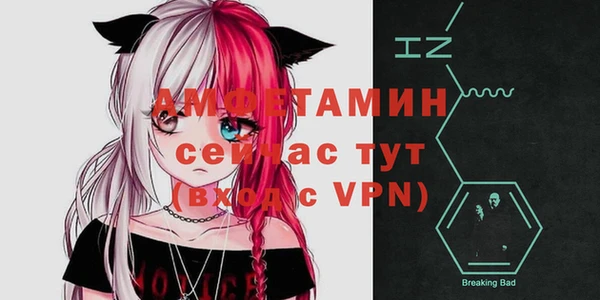 apvp Новозыбков