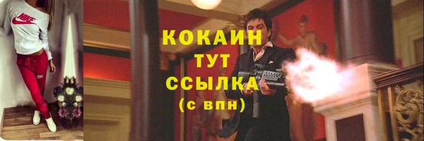 apvp Новозыбков
