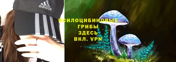 мет Нязепетровск