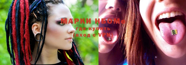 apvp Новозыбков