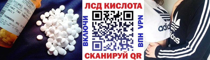 кракен ТОР  Кадников  ЛСД экстази кислота 