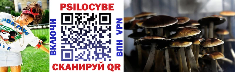 купить наркотик  Кадников  Галлюциногенные грибы Magic Shrooms 